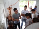 Curso - Destilador Bebidas