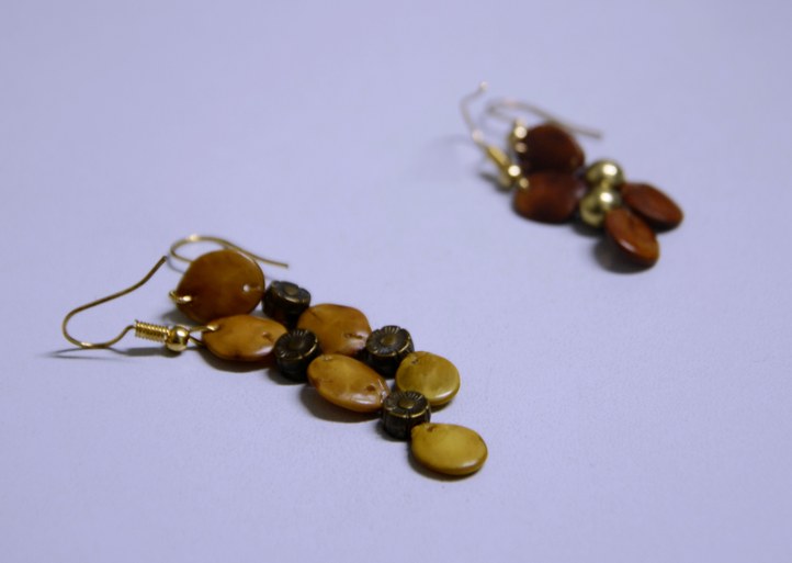 Brincos feitos com sementes Brincos feitos com sementes