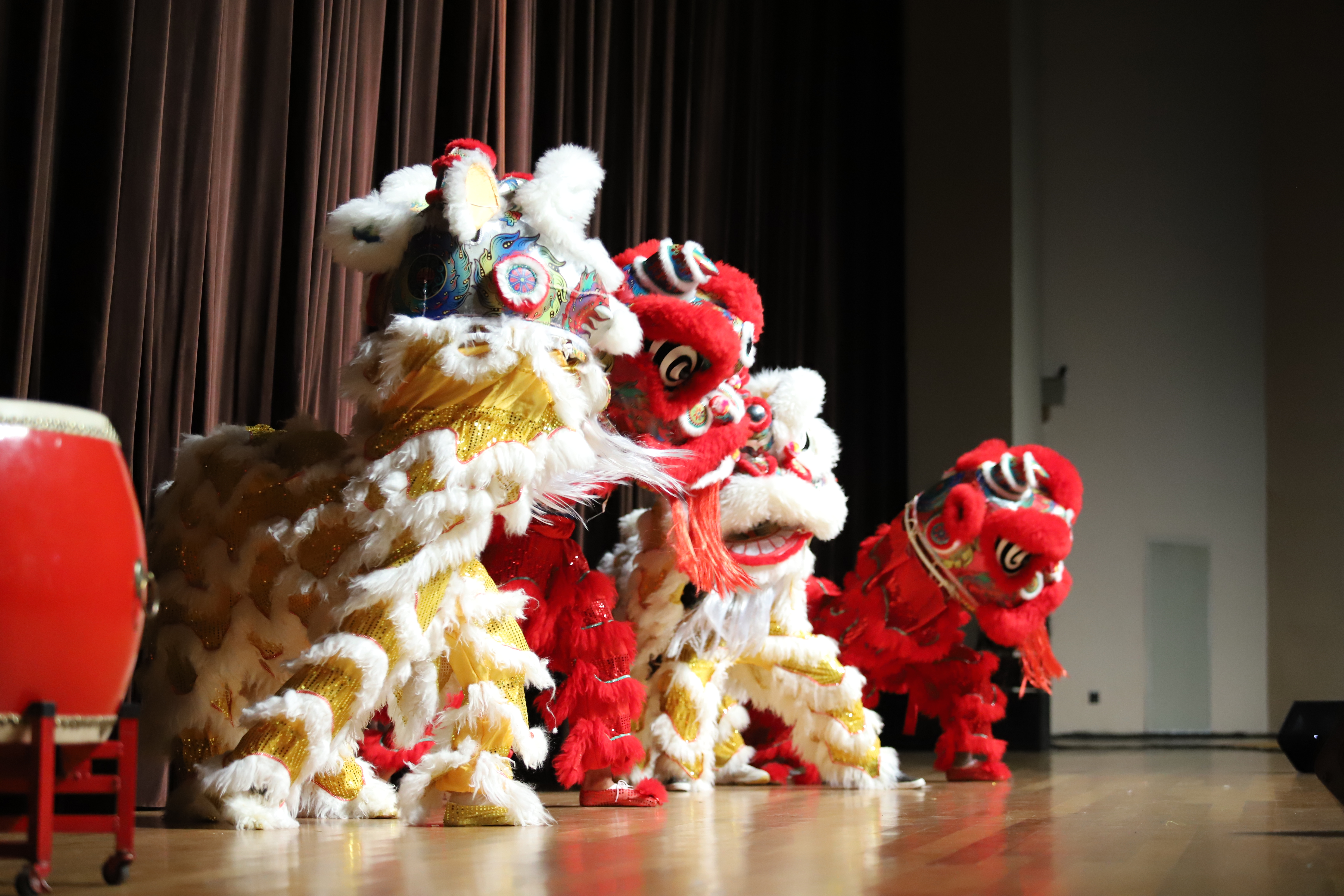 UFPB PROMOVE II FESTIVAL CULTURAL DA CHINA NESTE FINAL DE SEMANA Foto: Aline Lins